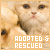 adopted and rescued animals