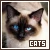 cats fanlisting